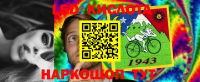 дживик Новозыбков