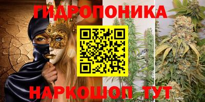 дживик Новозыбков
