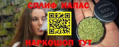 дживик Новозыбков