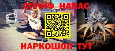 PSILOCYBIN Новокубанск