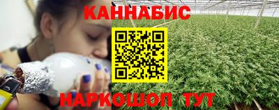 дживик Новозыбков