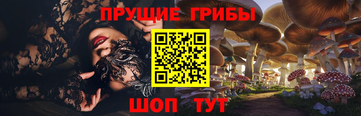 Псилоцибиновые грибы GOLDEN TEACHER  Вход с VPN  Шали 
